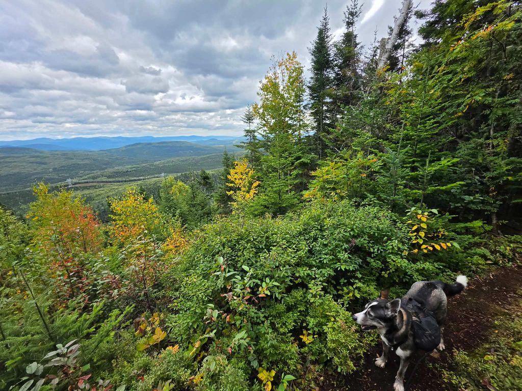 Randonnée Charlevoix chirurgie bariatrique